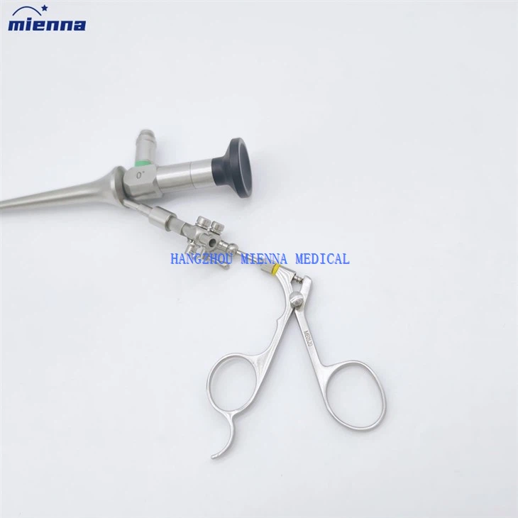 ENT Vet Double Channel Otoscope Veterinary Instruments Ear Endoscope With Fr5 Working Channel high quality