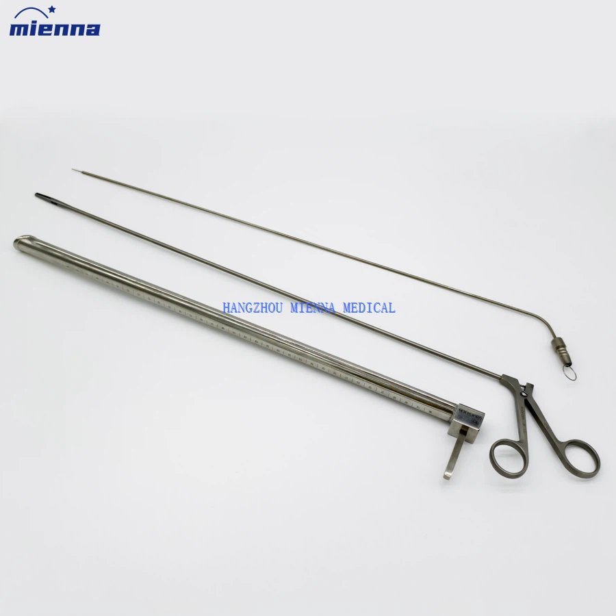 IMG20250314103142 IMG20250314103142